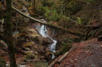 K1024_2014-10-12_KWasserfall_(132).JPG