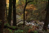 K1024_2014-10-12_KWasserfall_(165).JPG