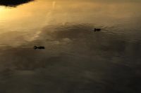 K1024_2014-10-12_KWasserfall_(608).JPG