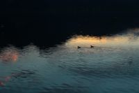 K1024_2014-10-12_KWasserfall_(625).JPG