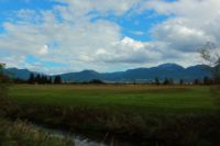 2014-09-21_Sindelsd_Moor_(215).JPG
