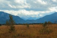 2014-09-21_Sindelsd_Moor_(297).JPG