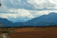 2014-09-21_Sindelsd_Moor_(332).JPG