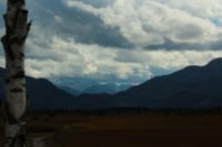 2014-09-21_Sindelsd_Moor_(346).JPG