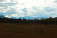 2014-09-21_Sindelsd_Moor_(380).JPG