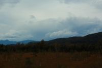 2014-09-21_Sindelsd_Moor_(469).JPG