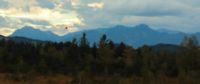 2014-09-21_Sindelsd_Moor_(475)b.JPG