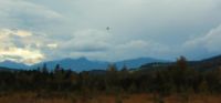 2014-09-21_Sindelsd_Moor_(476)b.JPG
