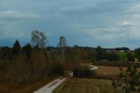 2014-09-21_Sindelsd_Moor_(511).JPG