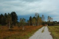 2014-09-21_Sindelsd_Moor_(553).JPG