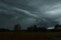 2014-09-21_Sindelsd_Moor_(584)a.JPG