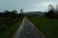 2014-09-21_Sindelsd_Moor_(620).JPG