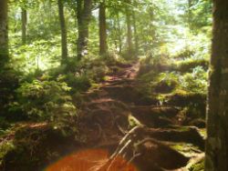 2014-06-08_Kochelsee_(215)a.JPG