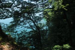 2014-06-08_Kochelsee_(221).JPG
