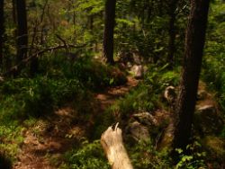 2014-06-08_Kochelsee_(238)c.JPG