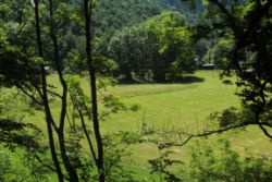 2014-06-08_Kochelsee_(261).JPG