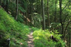 2014-06-07_Sonnenspitze_(108).JPG