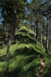2014-06-07_Sonnenspitze_(181).JPG