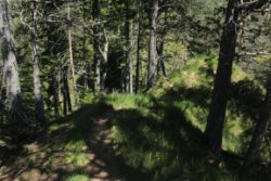 2014-06-07_Sonnenspitze_(189).JPG