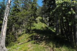 2014-06-07_Sonnenspitze_(223).JPG
