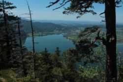 2014-06-07_Sonnenspitze_(225).JPG