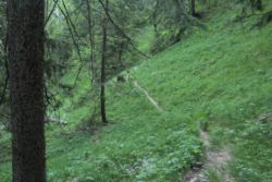 2014-06-07_Sonnenspitze_(500).JPG