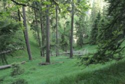 2014-06-07_Sonnenspitze_(501).JPG