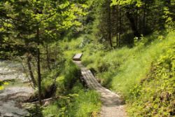 2014-06-23_0Finzbachklamm_(180).JPG