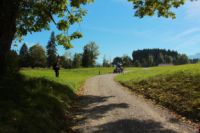 2014-09-28_Wackersberg-Runde_(150)b.JPG
