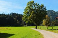 2014-09-28_Wackersberg-Runde_(246).JPG