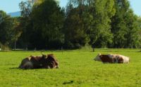 2014-09-28_Wackersberg-Runde_(286)b.JPG