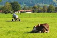 2014-09-28_Wackersberg-Runde_(287)b.JPG