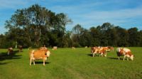 2014-09-28_Wackersberg-Runde_(305)b.JPG