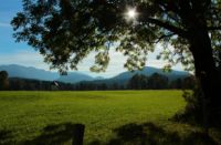 2014-09-28_Wackersberg-Runde_(324)b.JPG