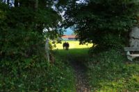 2014-09-28_Wackersberg-Runde_(351).JPG