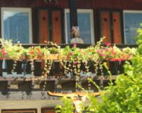 2014-08-10_Ankelalm_(114)b.JPG