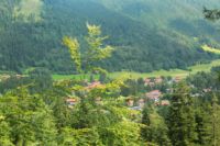 2014-08-10_Ankelalm_(136).JPG