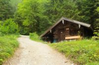 2014-08-10_Ankelalm_(161).JPG
