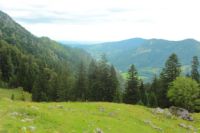 2014-08-10_Ankelalm_(210).JPG
