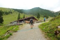 2014-08-10_Ankelalm_(212).JPG