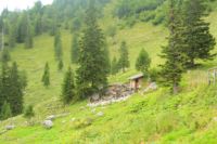 2014-08-10_Ankelalm_(215).JPG