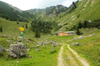 2014-08-10_Ankelalm_(231).JPG