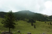 2014-08-10_Ankelalm_(236).JPG