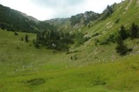 2014-08-10_Ankelalm_(237).JPG