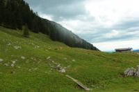 2014-08-10_Ankelalm_(238).JPG