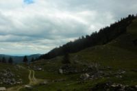 2014-08-10_Ankelalm_(240).JPG