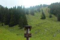 2014-08-10_Ankelalm_(244).JPG