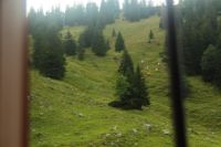 2014-08-10_Ankelalm_(380)b.JPG