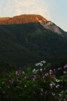 2014-08-10_Ankelalm_(445).JPG