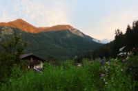 2014-08-10_Ankelalm_(447).JPG